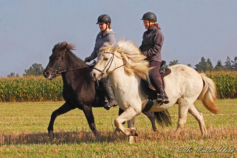Ninja und Bine Stoppelfeld b.jpg